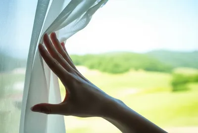 Illustration bare - Image 1