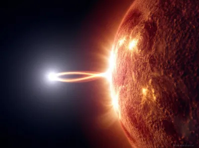 Illustration symbiotic