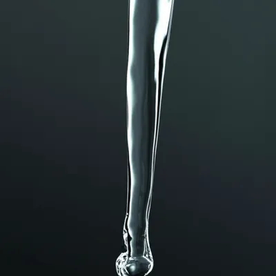 Illustration squirt - Image 1