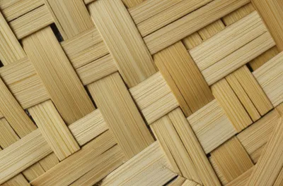 Illustration bamboo - Image 1