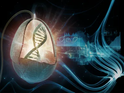 Illustration genotype - Image 1