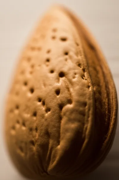 Illustration almond - Image 1