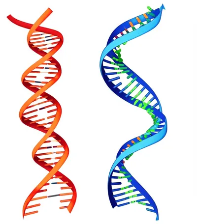 Illustration recombination