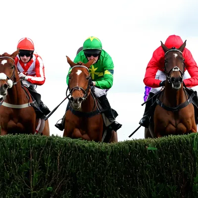 Illustration steeplechases