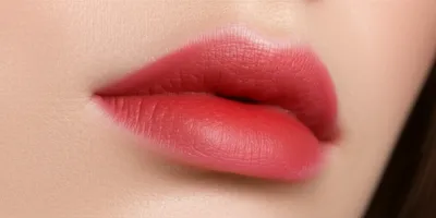 Illustration vermillion - Image 1