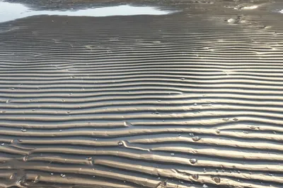 Illustration ebbs - Image 1