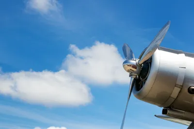 Illustration feathers - Image 1