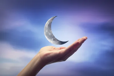 Illustration lunates - Image 1