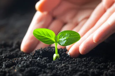 Illustration tending - Image 1