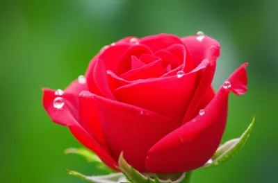 Illustration excited - Image 1