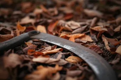 Illustration chimes - Image 1