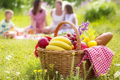 Illustration ped - Image 1