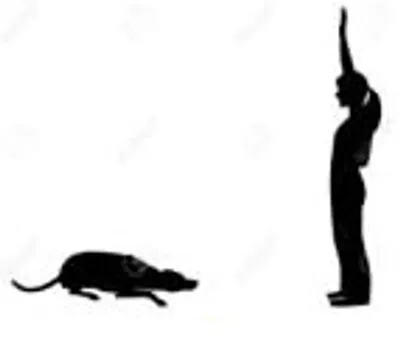 Illustration pliant - Image 3