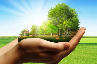 Illustration conserving - Image 1