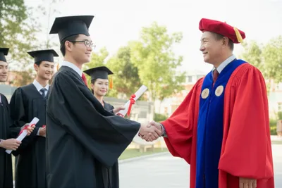 Illustration graduate - Image 1