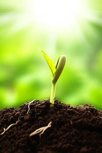 Illustration rising - Image 2