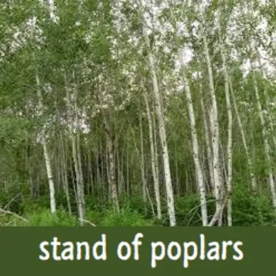 Illustration stand - Image 3