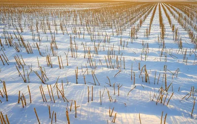 Illustration resting - Image 1