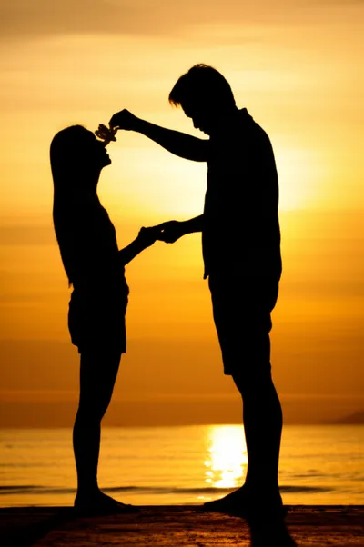 Illustration have - Image 1