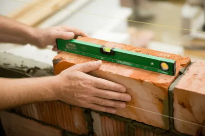 Illustration bone - Image 1