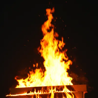 Illustration cremate - Image 1