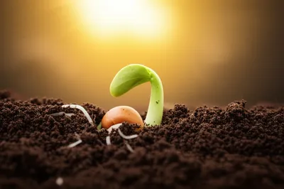 Illustration principle - Image 1