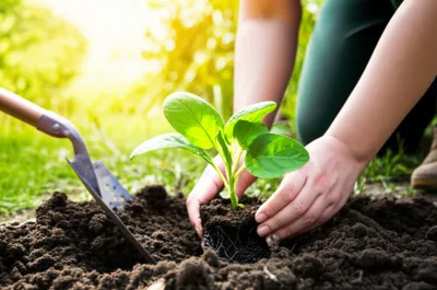 Illustration spitting - Image 1