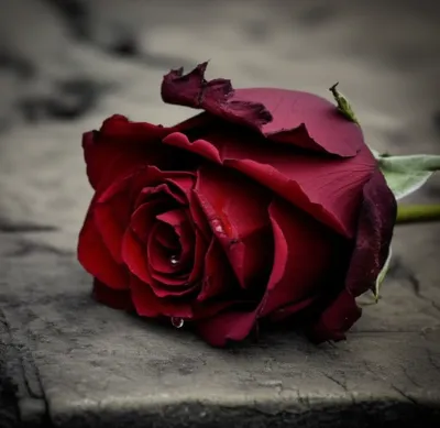 Illustration stab - Image 1