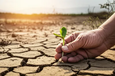 Illustration subsistence - Image 1