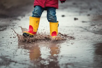 Illustration clompy - Image 1