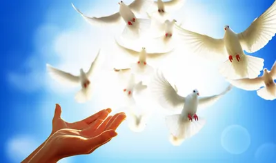 Illustration releasing