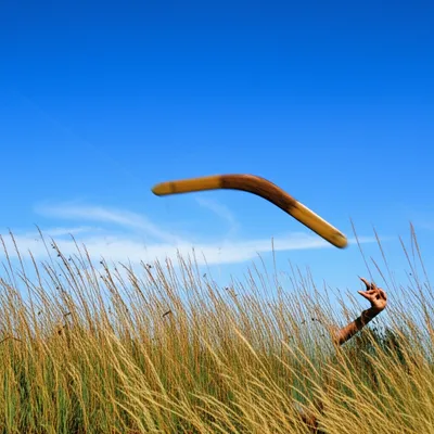 Illustration callback - Image 1