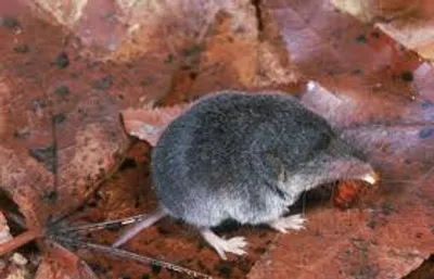 Illustration least - Image 3