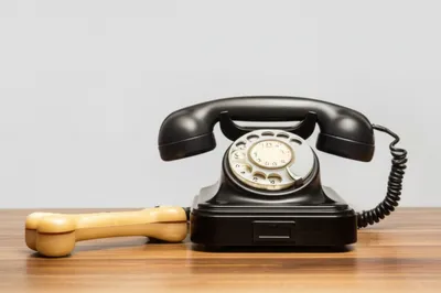 Illustration dog - Image 1