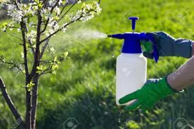 Illustration moisten - Image 2