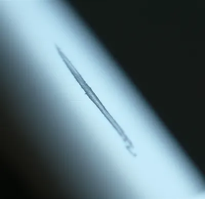 Illustration roughed - Image 1