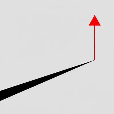 Illustration declination - Image 1