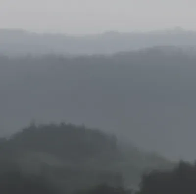 Illustration murky - Image 1