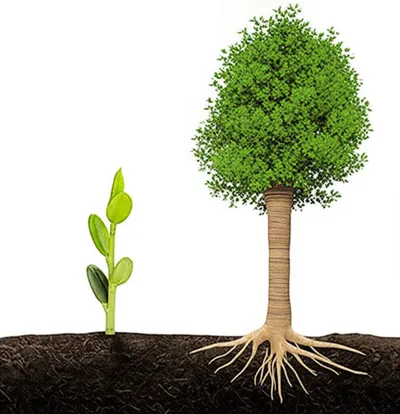 Illustration accruing - Image 1