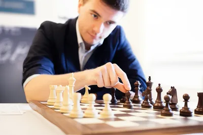 Illustration bids - Image 1