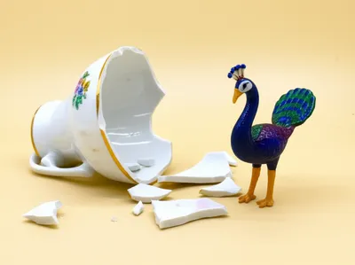 Illustration crake - Image 1