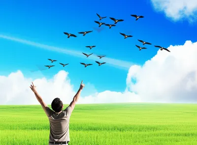 Illustration skyward - Image 1