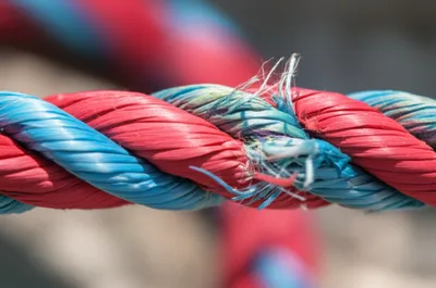 Illustration frays - Image 1