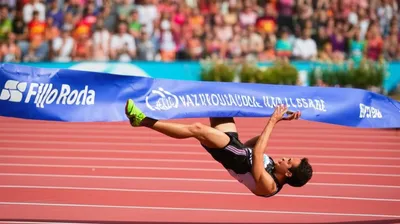 Illustration foils - Image 1