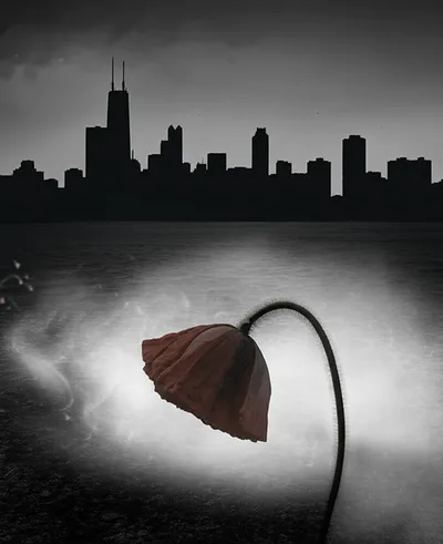 Illustration blow - Image 1