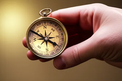 Illustration rectified - Image 1