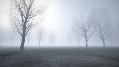 Illustration iced - Image 1