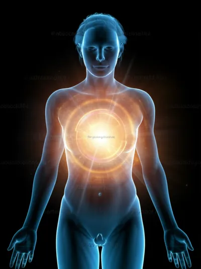 Illustration seal - Image 1