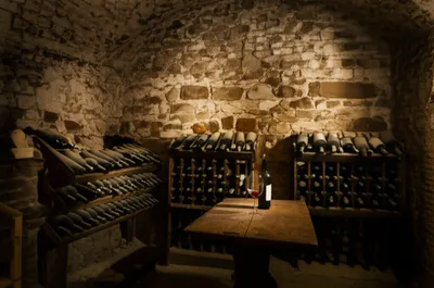 Hình ảnh minh họa seller - Ảnh 1