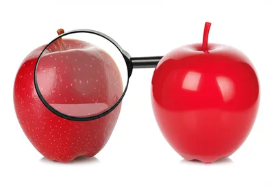 Illustration cp - Image 1